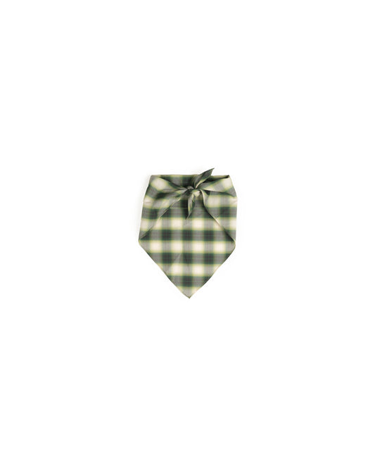Oxalis - Clover - Shadow Check