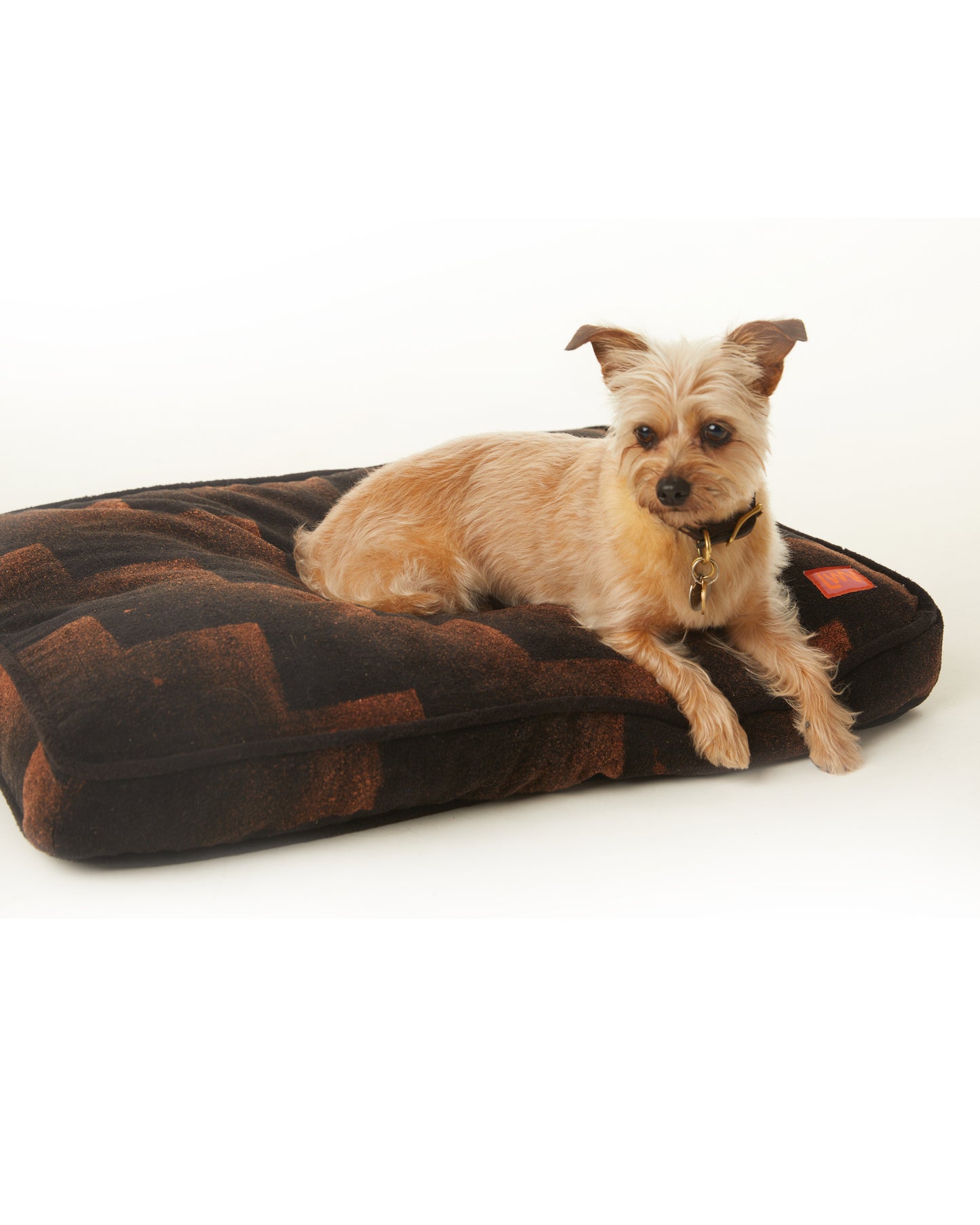 Nima Cushion - Black Ziggy - Velvet Terry