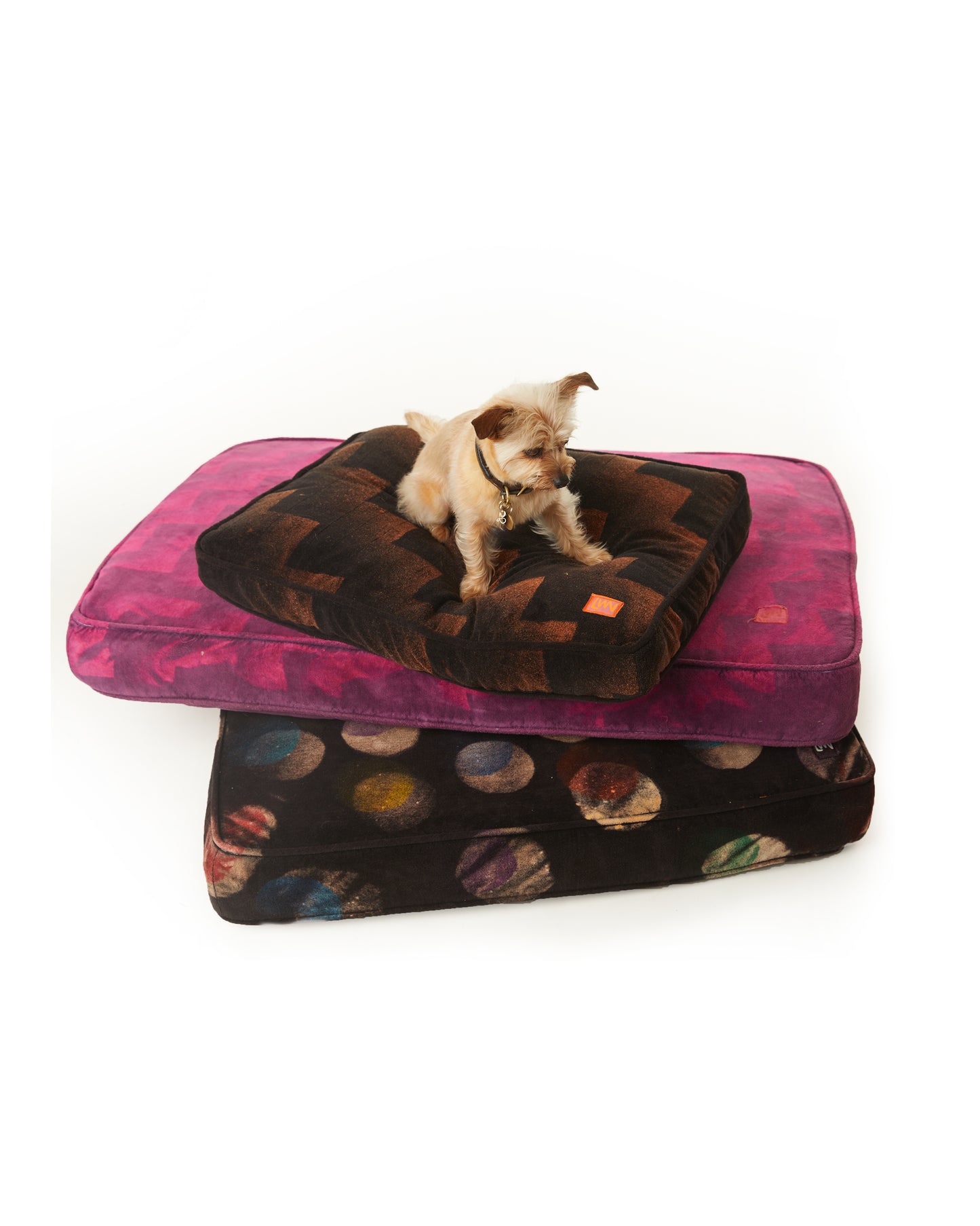 Nima Cushion - Black Ziggy - Velvet Terry