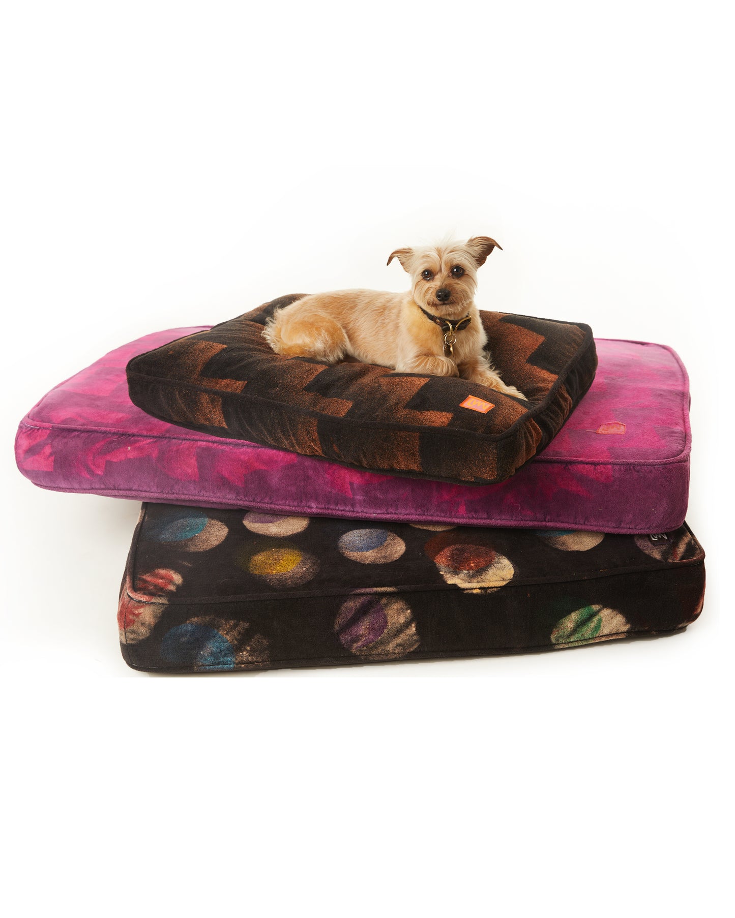 Nima Cushion - Orchid Ziggy - Velvet Terry
