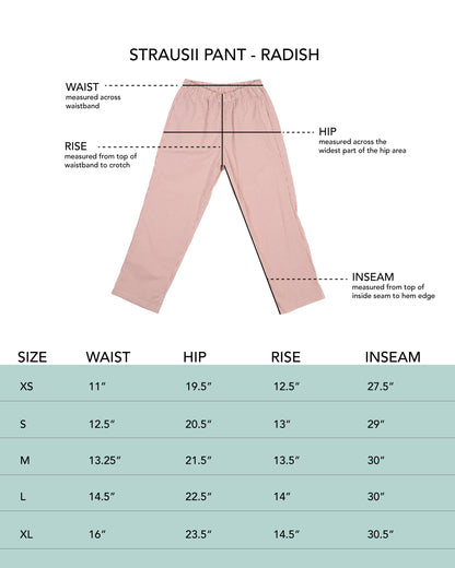 Strausii Pant - Natural - Pencil Stripe